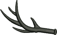 Antler