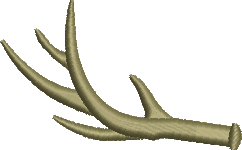 Antler